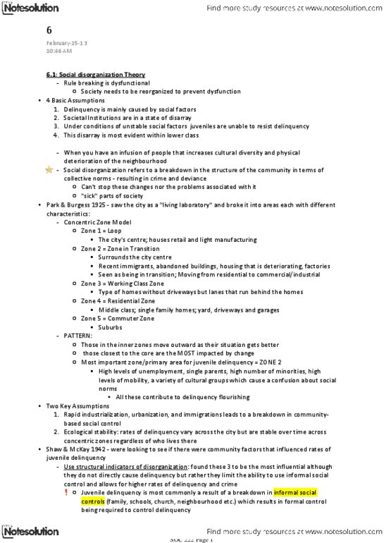 SOC222 Lecture Notes - Nuclear Family, Complex Number, Juvenile Delinquency thumbnail