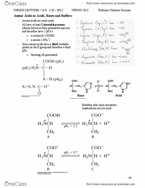 BIOL 2021 Lecture Notes - Lecture 11: Aromatic Amino Acids, Titration Curve, Deprotonation thumbnail