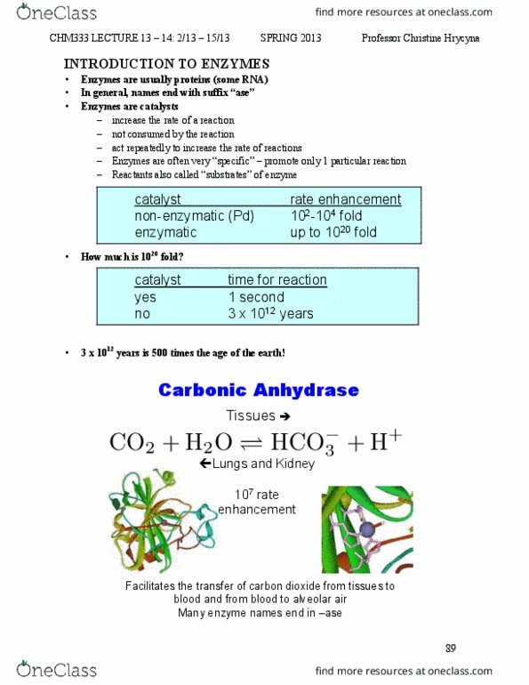 BIOL 2021 Lecture Notes - Lecture 16: Enzyme, Activation Energy, Binding Energy thumbnail