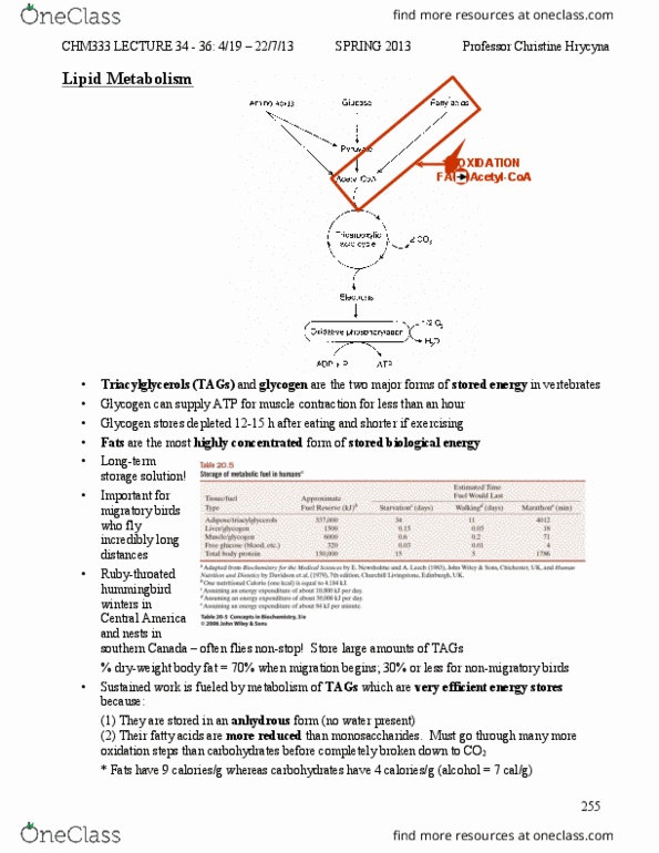 BIOL 2021 Lecture Notes - Lecture 3: Carnitine O-Palmitoyltransferase, Lipoprotein Lipase, Acetyl-Coa thumbnail