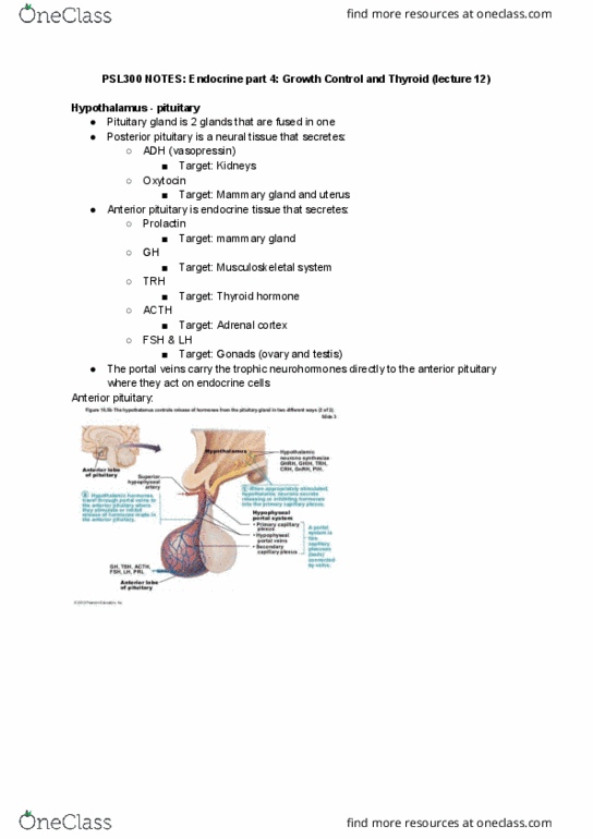 PSL300H1 Lecture Notes - Lecture 12: Anterior Pituitary, Posterior Pituitary, Mammary Gland thumbnail