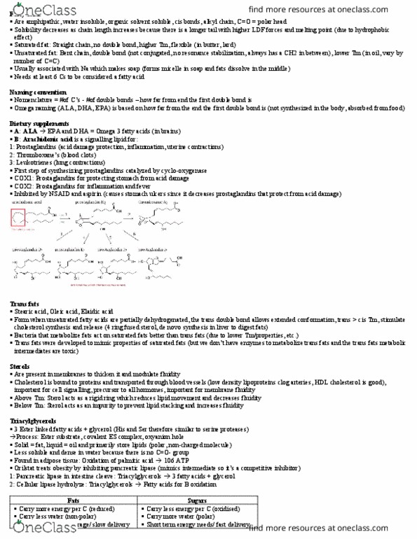 CHEM237 Lecture Notes - Lecture 20: De Novo Synthesis, Trans Fat, Oxyanion Hole thumbnail