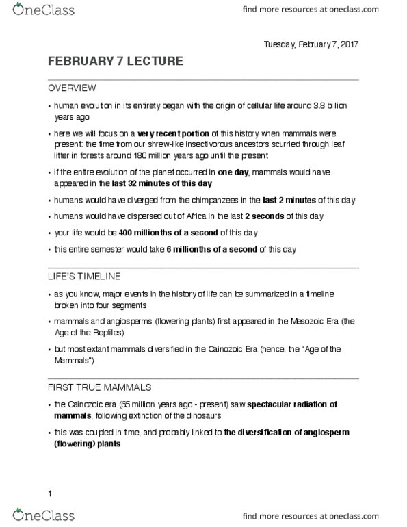 BIOLOGY 1M03 Lecture Notes - Lecture 7: Cenozoic, Mesozoic, Flowering Plant thumbnail