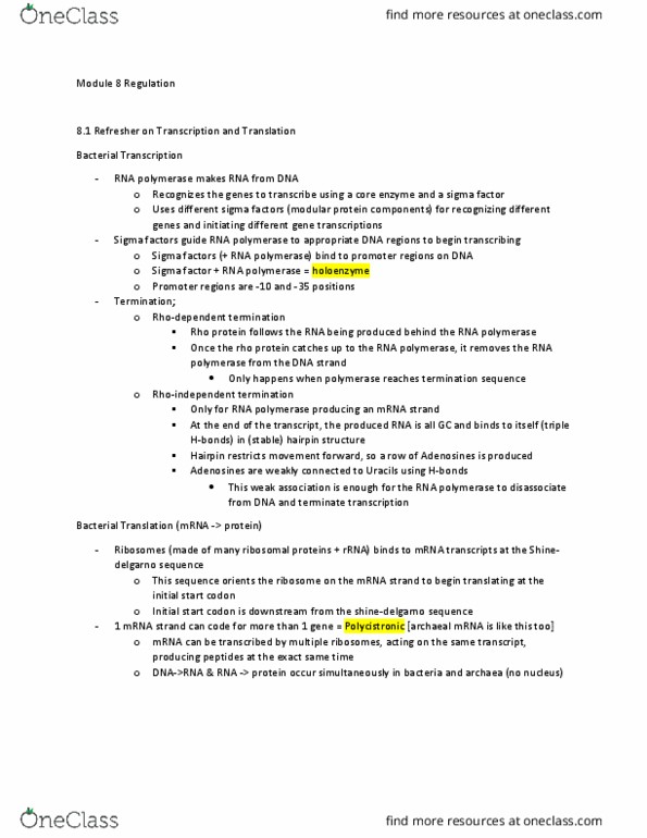 BIOL240 Lecture Notes - Lecture 11: Trp Operon, Sigma Factor, Operon thumbnail