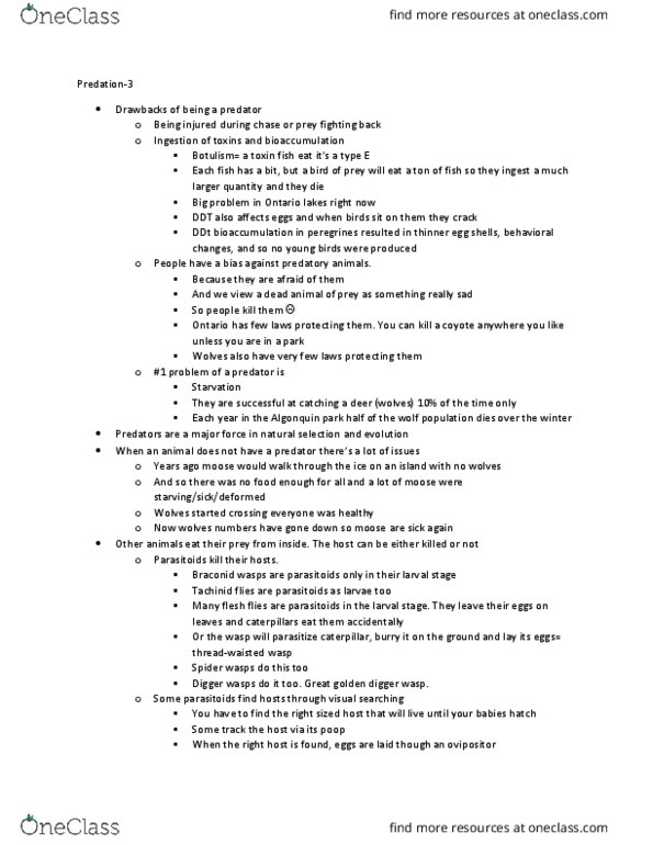 BIOL 1902 Lecture Notes - Lecture 14: Algonquin Provincial Park, Flesh Fly, Braconidae thumbnail