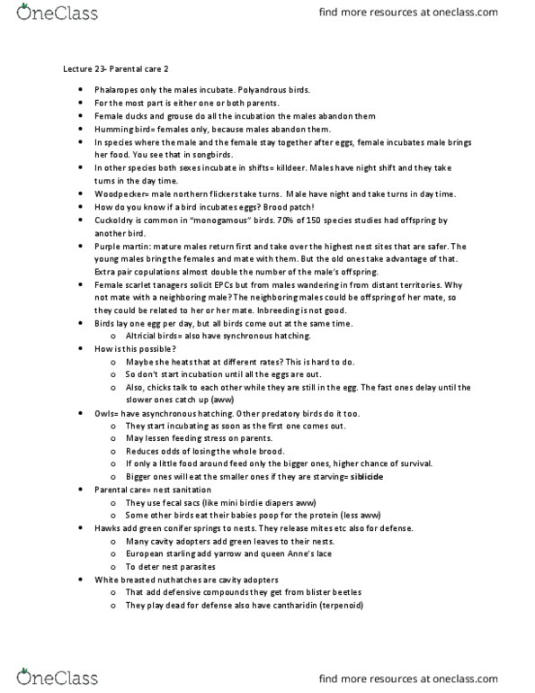 BIOL 1902 Lecture Notes - Lecture 23: Brood Patch, Brood Parasite, Hummingbird thumbnail