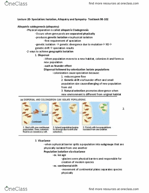 BIOL 1001 Lecture Notes - Lecture 20: Continental Drift, Genetic Drift, Sympatry thumbnail