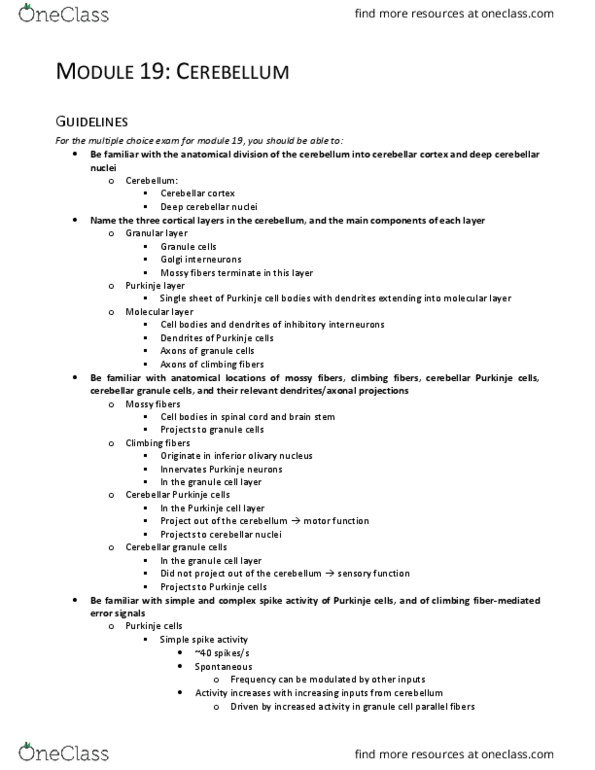 NEUR 3200 Lecture Notes - Lecture 19: Deep Cerebellar Nuclei, Inferior Olivary Nucleus, Climbing Fiber thumbnail