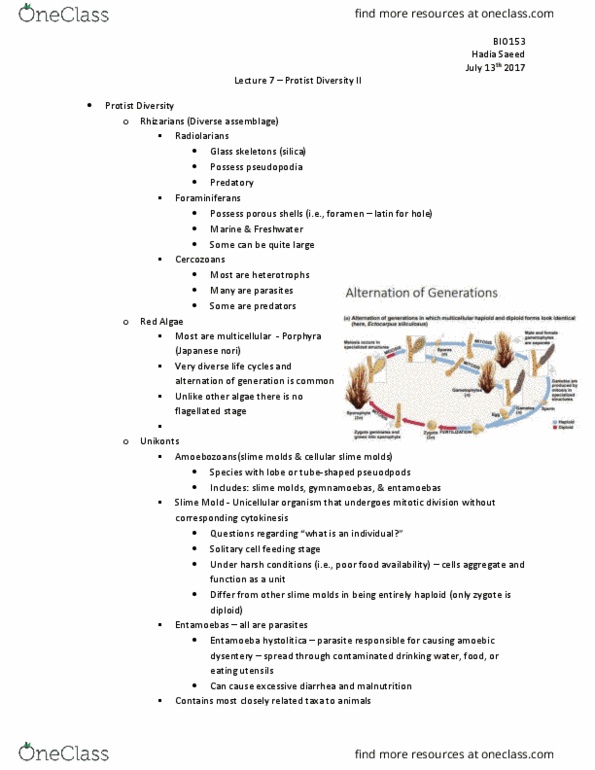 BIO153H5 Lecture Notes - Lecture 7: Amoebiasis, Entamoeba, Porphyra thumbnail