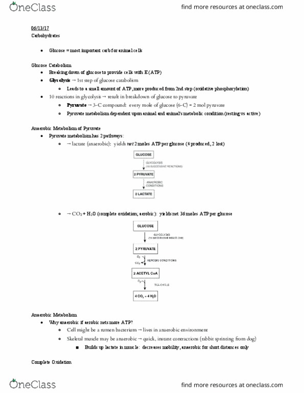 11:067:330 Lecture Notes - Lecture 10: Acetyl-Coa, Adipose Tissue, Skeletal Muscle thumbnail