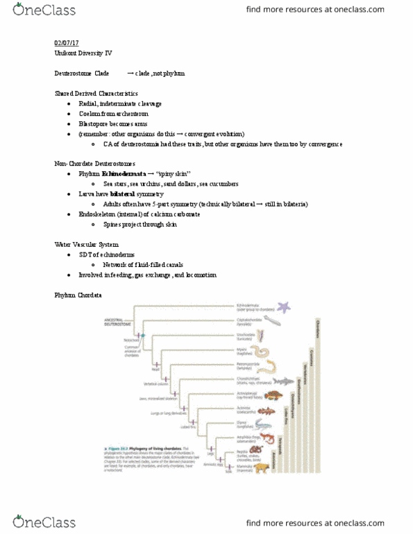 01:119:116 Lecture Notes - Lecture 7: Agnatha, Amniote, Symmetry In Biology thumbnail