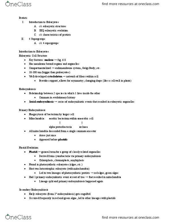 01:119:116 Lecture 3: Protists thumbnail