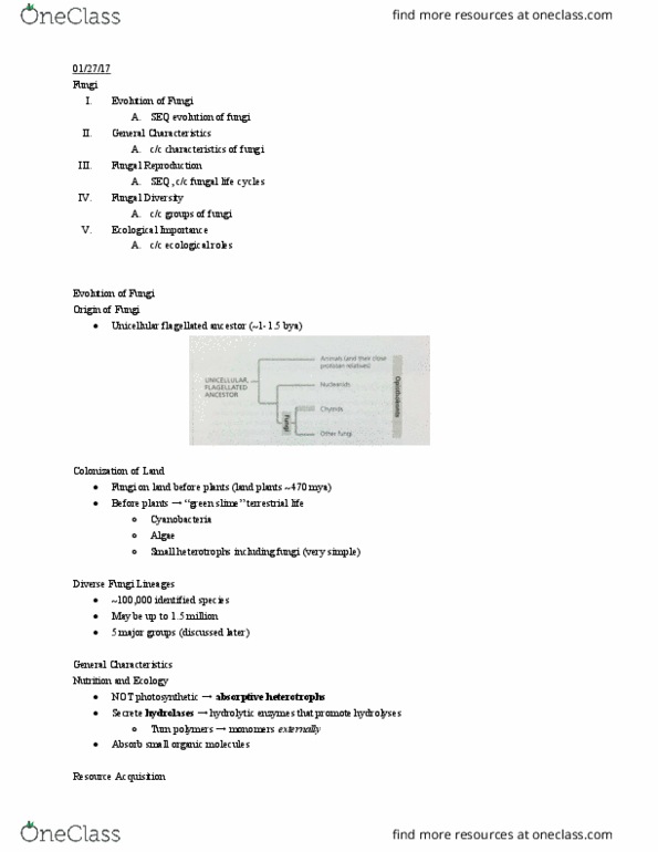 01:119:116 Lecture Notes - Lecture 4: Mating Type, Mycelium, Sexual Reproduction thumbnail