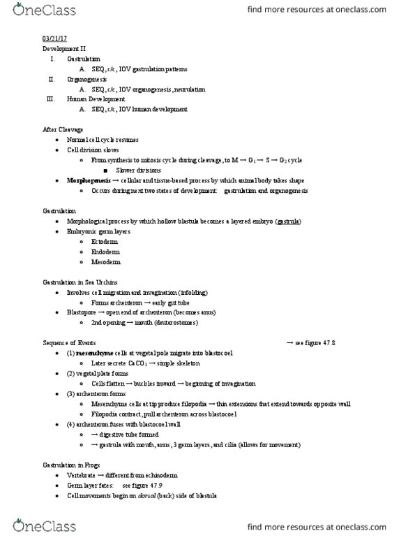 01:119:116 Lecture Notes - Lecture 17: Inner Cell Mass, Archenteron, Germ Layer thumbnail