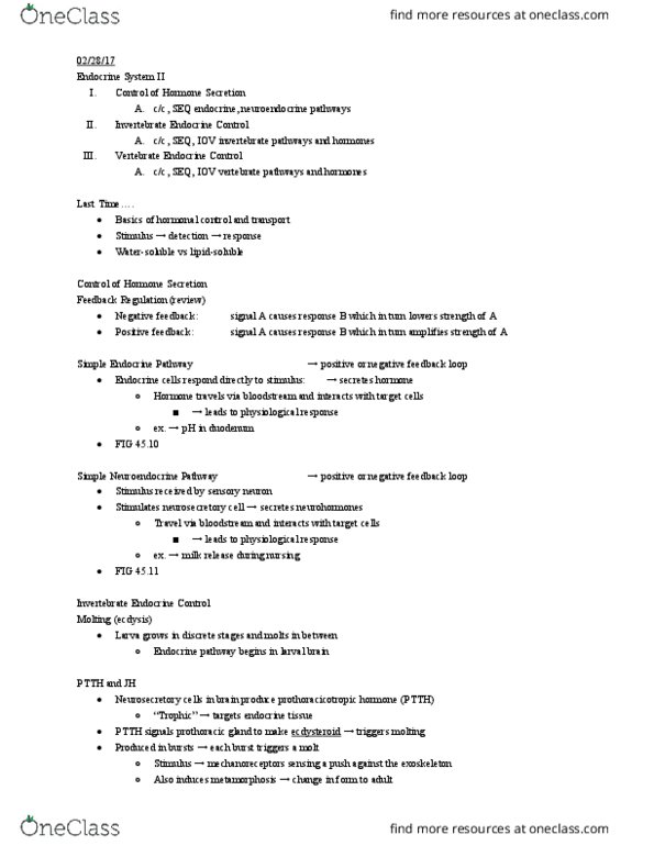 01:119:116 Lecture Notes - Lecture 13: Thyroid, Posterior Pituitary, Prothoracicotropic Hormone thumbnail