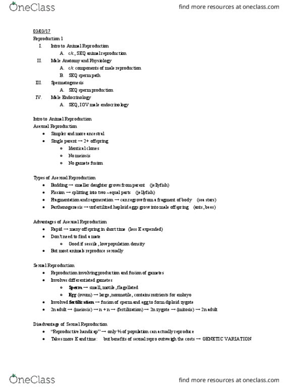 01:119:116 Lecture Notes - Lecture 14: Vas Deferens, Seminiferous Tubule, Ejaculatory Duct thumbnail