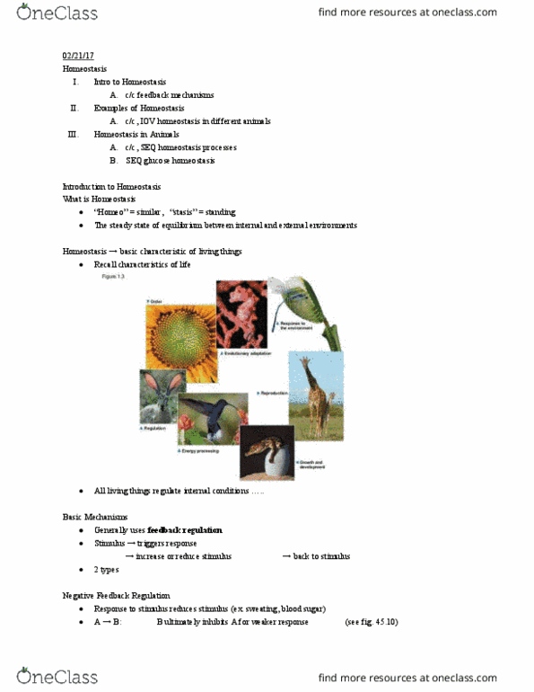 01:119:116 Lecture Notes - Lecture 11: Contractile Vacuole, Amniotic Sac, Protocell thumbnail