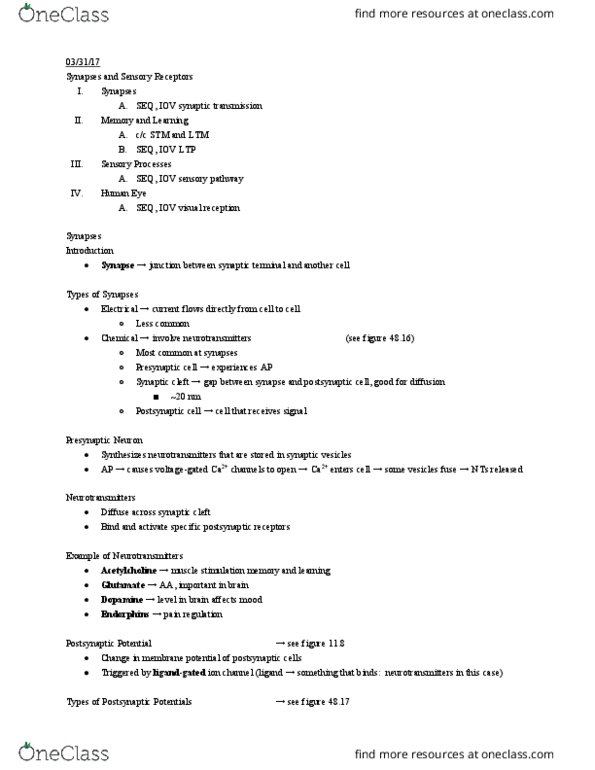 01:119:116 Lecture Notes - Lecture 20: Excitatory Postsynaptic Potential, Inhibitory Postsynaptic Potential, Axon Hillock thumbnail