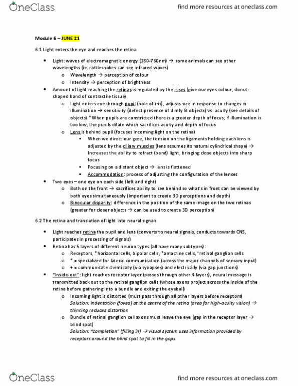 PSYC 271 Chapter Notes - Chapter 6: Retinal Ganglion Cell, Lateral Geniculate Nucleus, Photopic Vision thumbnail