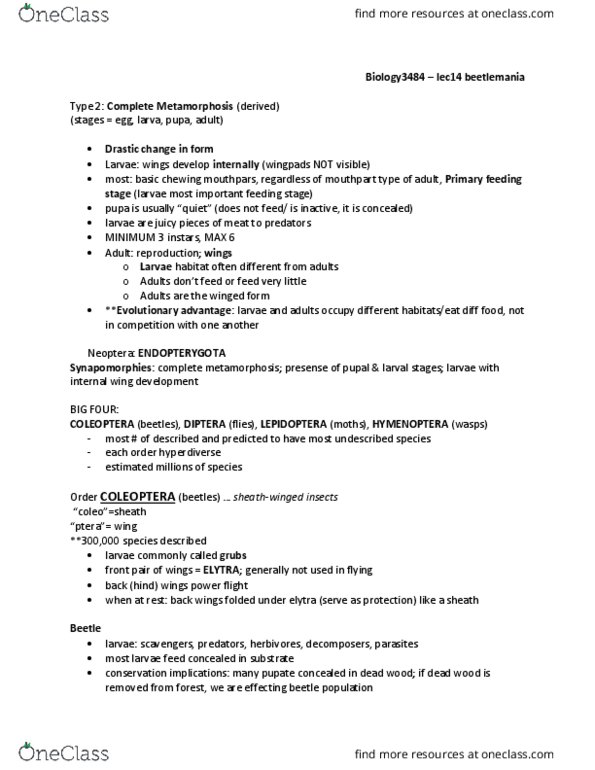 Biology 3484A/B Lecture Notes - Lecture 14: Elytron, Beetle, Neoptera thumbnail