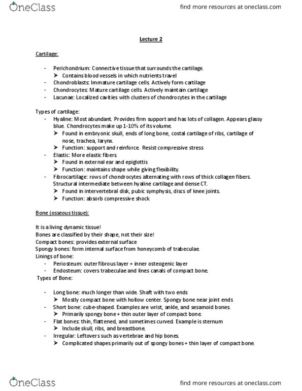 ANP 1106 Lecture Notes - Lecture 2: Hyaline Cartilage, Bone, Pubic Symphysis thumbnail