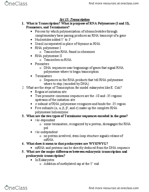 BIOL239 Lecture Notes - Lecture 13: Wysiwyg, Guanidine, Enzyme thumbnail