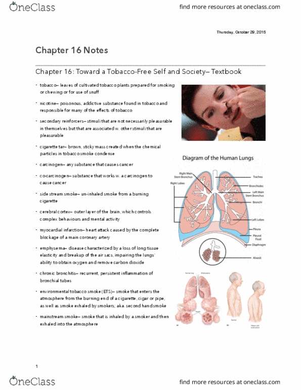 Health Sciences 1001A/B Chapter Notes - Chapter 16: Coronary Circulation, Carcinogen, Chronic Obstructive Pulmonary Disease thumbnail
