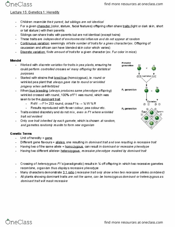 BIOL 112 Lecture Notes - Lecture 15: Zygosity, Probability Distribution, Gamete thumbnail