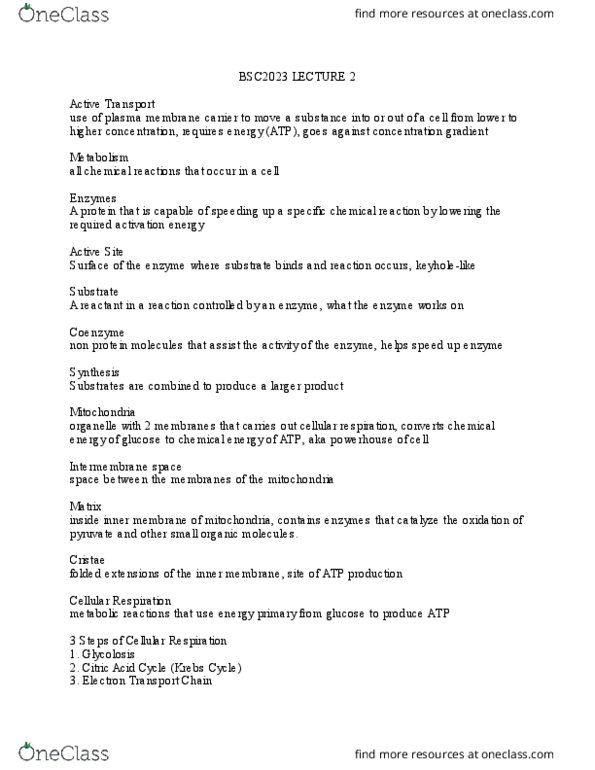 BSC 2023 Lecture Notes - Lecture 2: Intermembrane Space, Cellular Respiration, Cell Membrane thumbnail