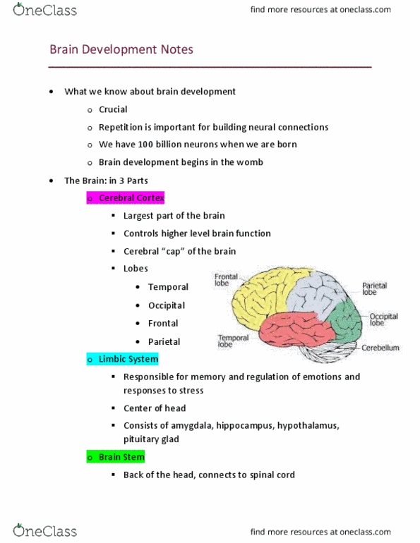 FCFC 265 Lecture Notes - Lecture 2: Autonomic Nervous System, Verbal Memory, Visual Memory thumbnail