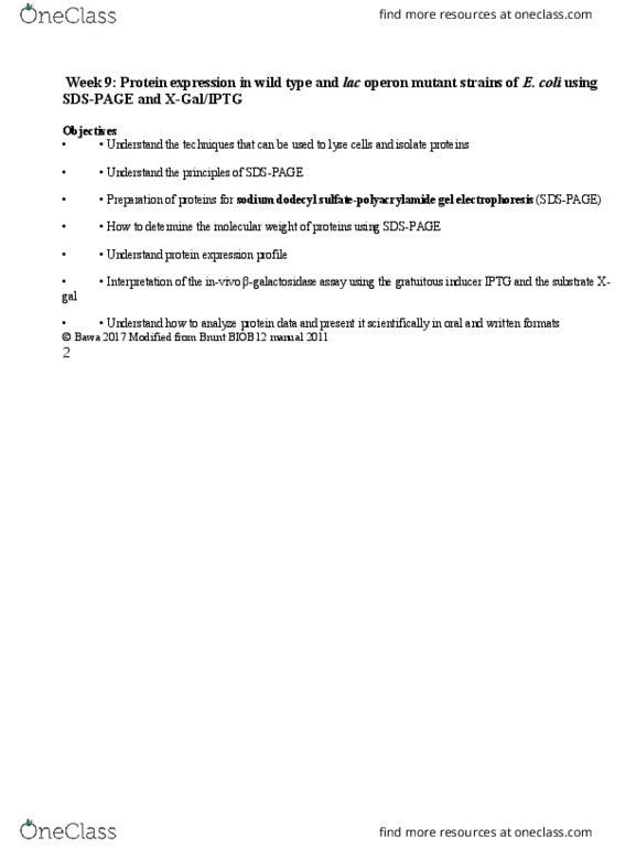 BIOB12H3 Lecture Notes - Lecture 9: Differential Centrifugation, Lac Operon, Isopropyl Β-D-1-Thiogalactopyranoside thumbnail