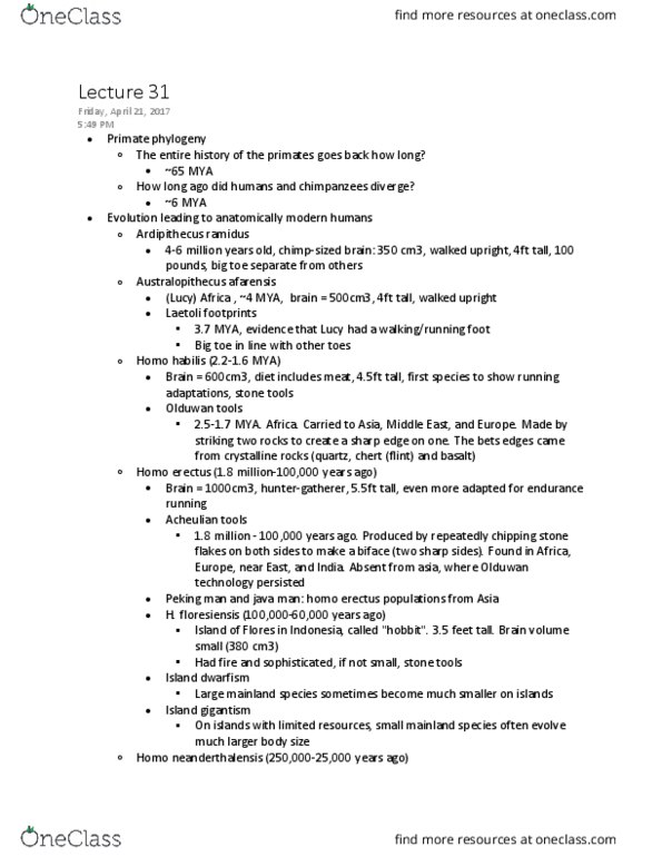 BIOL 1102 Lecture Notes - Lecture 31: Homo Erectus, Neanderthal, Homo Habilis thumbnail