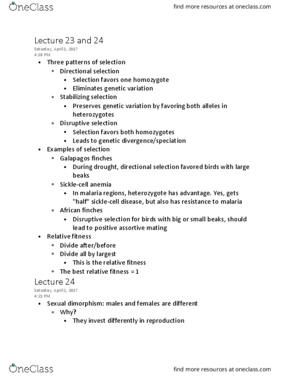 BIOL 1102 Lecture Notes - Lecture 24: Evolutionary Arms Race, Allele Frequency, Genotype Frequency thumbnail