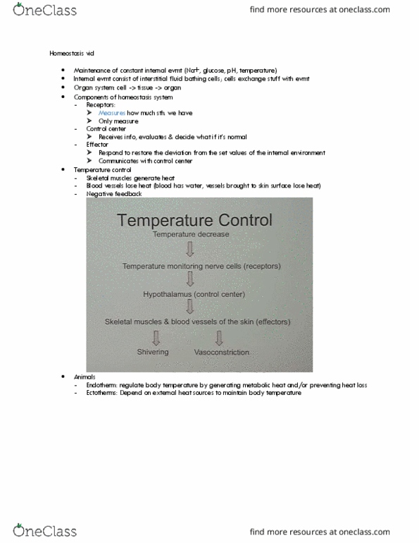 LIFESCI 2 Lecture Notes - Lecture 15: Extracellular Fluid, Homeostasis, Negative Feedback thumbnail