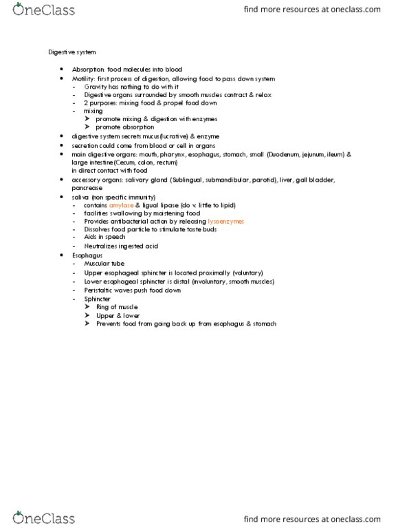 LIFESCI 2 Lecture Notes - Lecture 21: Pylorus, Pepsin, Salivary Gland thumbnail