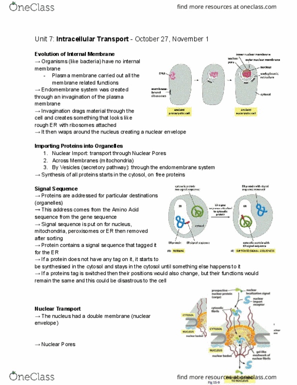 document preview image