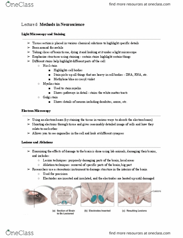 PSYCH261 Lecture Notes - Lecture 9: Franz Nissl, Golgi'S Method, Neurotransmitter thumbnail