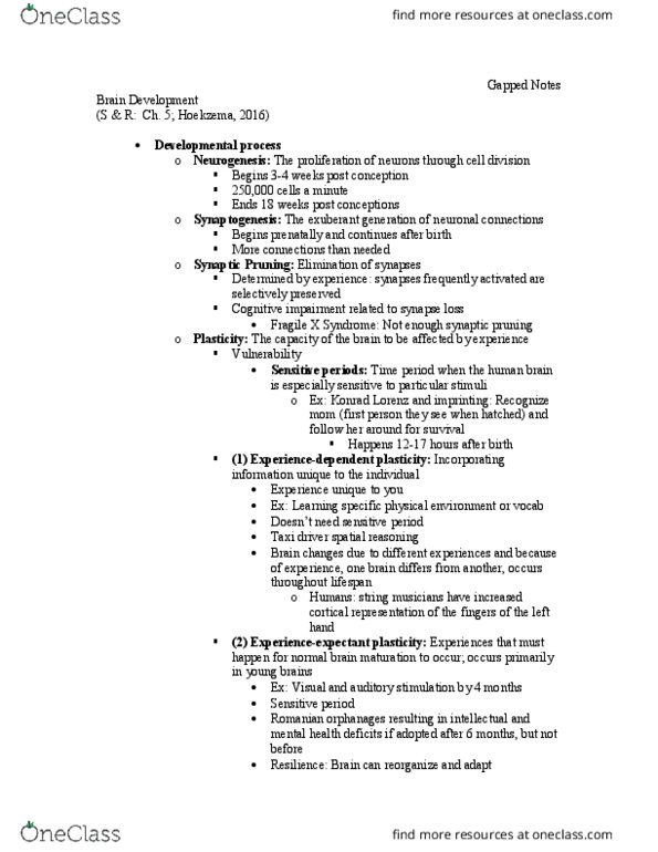 PSYC 3684 Lecture Notes - Lecture 4: Synaptic Pruning, Fragile X Syndrome, Konrad Lorenz thumbnail