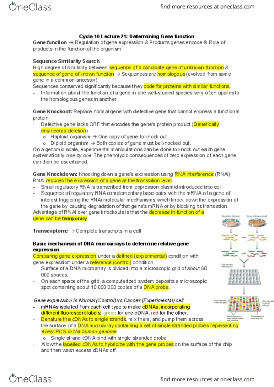 Biology 1002B Lecture Notes - Lecture 21: Dna Microarray, Hybridization Probe, Rna-Seq thumbnail