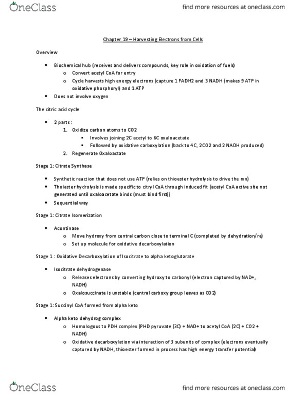 KIN217 Chapter Notes - Chapter 19: Isocitrate Dehydrogenase, Succinyl-Coa, Oxidative Decarboxylation thumbnail