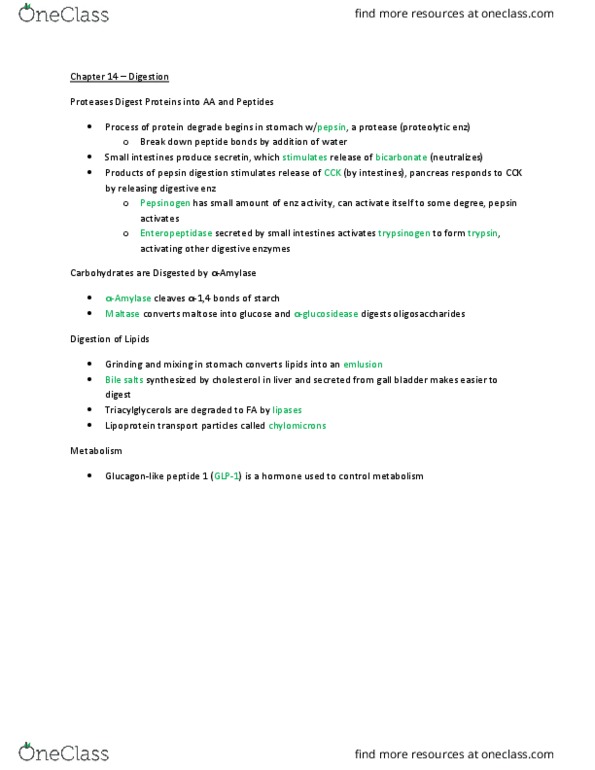 KIN217 Chapter Notes - Chapter 14-15: Enteropeptidase, Pepsin, Trypsinogen thumbnail