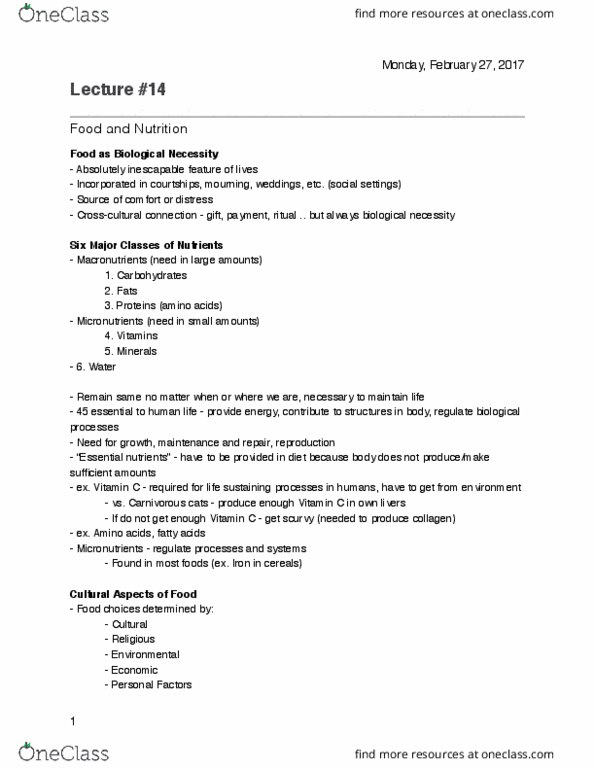 ANTHROP 1AA3 Lecture Notes - Lecture 14: Transubstantiation, Scurvy, Collagen thumbnail