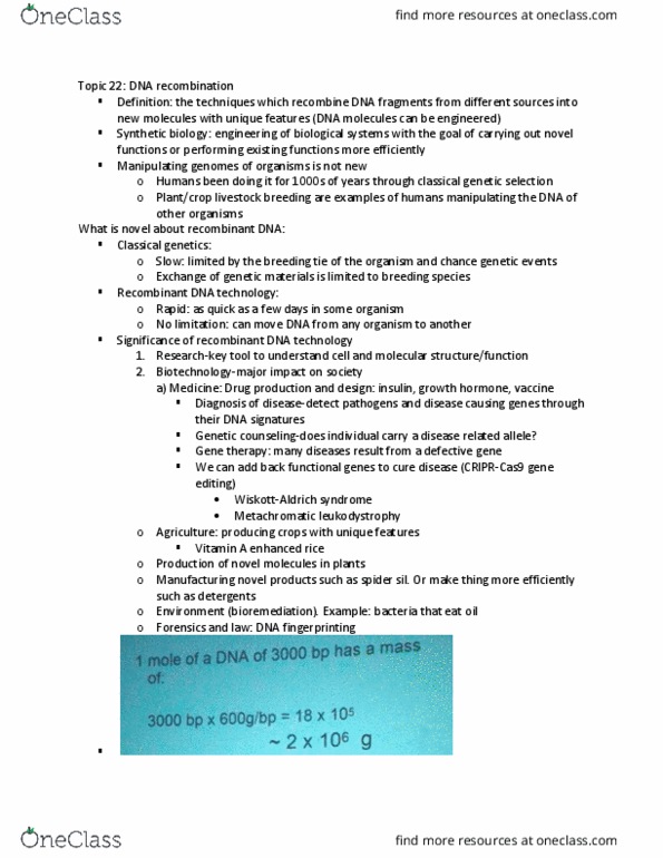 Biochemistry 2288A Lecture Notes - Lecture 22: Agarose Gel Electrophoresis, Polymerase Chain Reaction, Gel Electrophoresis thumbnail