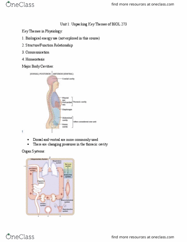 BIOL273 Lecture Notes - Lecture 1: Adherens Junction, Blood Plasma, Thoracic Cavity thumbnail