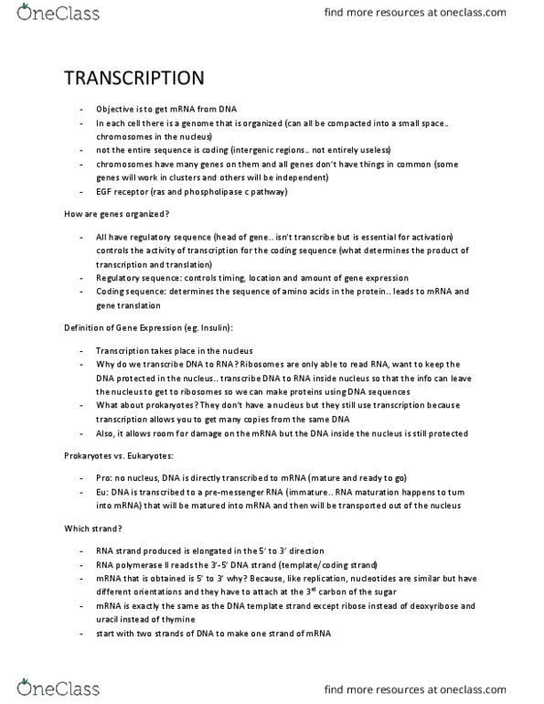 BIO 1140 Lecture Notes - Lecture 10: Regulatory Sequence, Reverse Transcriptase, Maturation Promoting Factor thumbnail