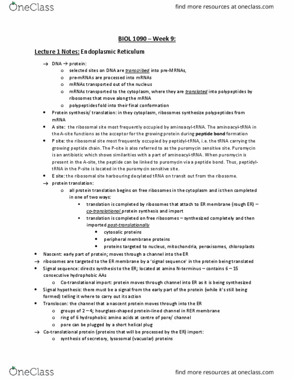 BIOL 1090 Lecture Notes - Lecture 9: Puromycin, Signal Recognition Particle, Translocon thumbnail