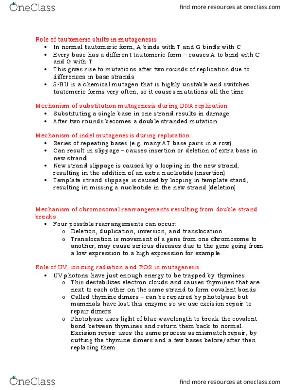 Biology 1001A Chapter Notes - Chapter 25: Pyrimidine Dimer, Dna Repair, Dna Mismatch Repair thumbnail