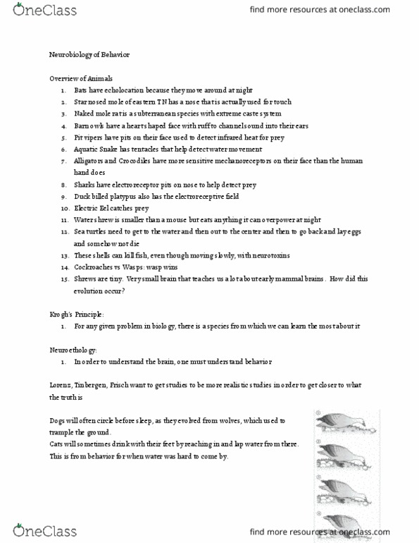 BSCI-3254 Lecture Notes - Lecture 1: Egg Rolling, Neuroethology, None Of The Above thumbnail