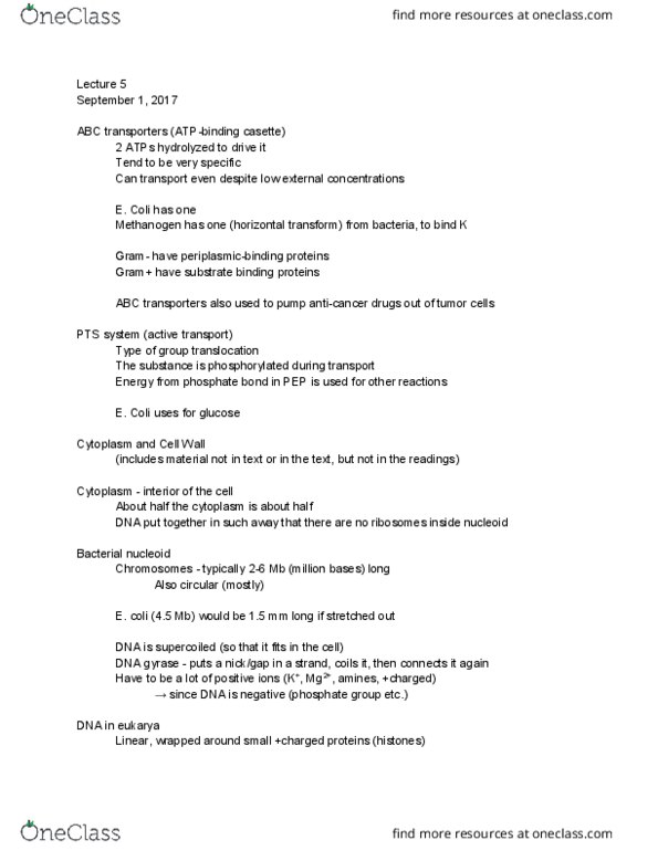 BIOMI 2900 Lecture Notes - Lecture 5: Mycoplasma Genitalium, Gram Staining, Dna Gyrase thumbnail