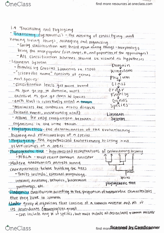 BIOL 198 Lecture Notes - Lecture 2: Antv thumbnail